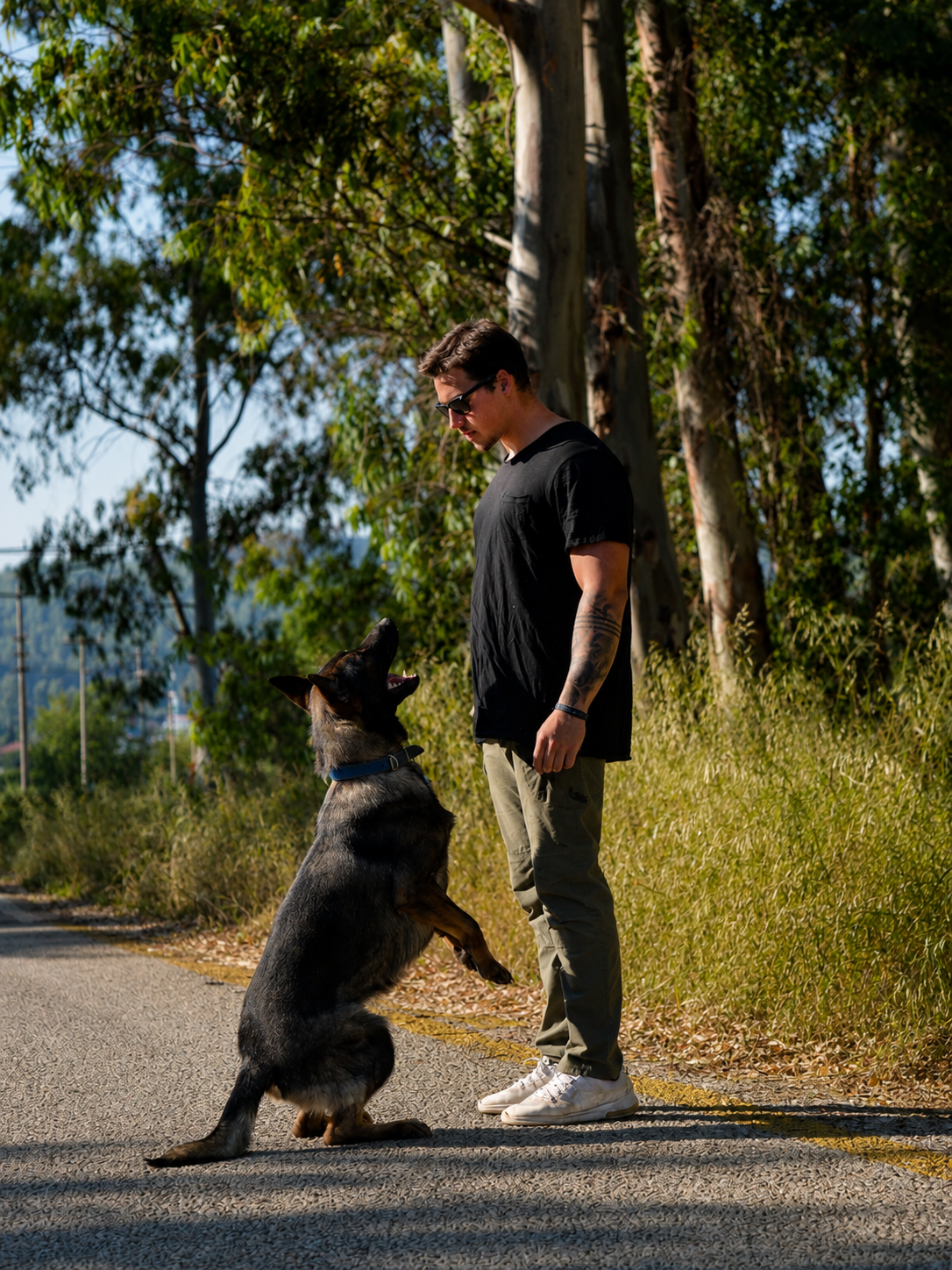 Yiğit Kanlıgöl bir köpekle çalışırken